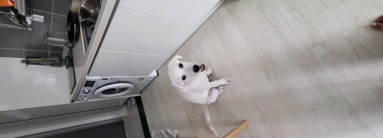 1화 12컷
